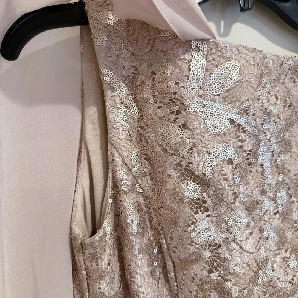 Alex Evenings Champagne Sequin Lace Chiffon Cape Sheath Dress size 6